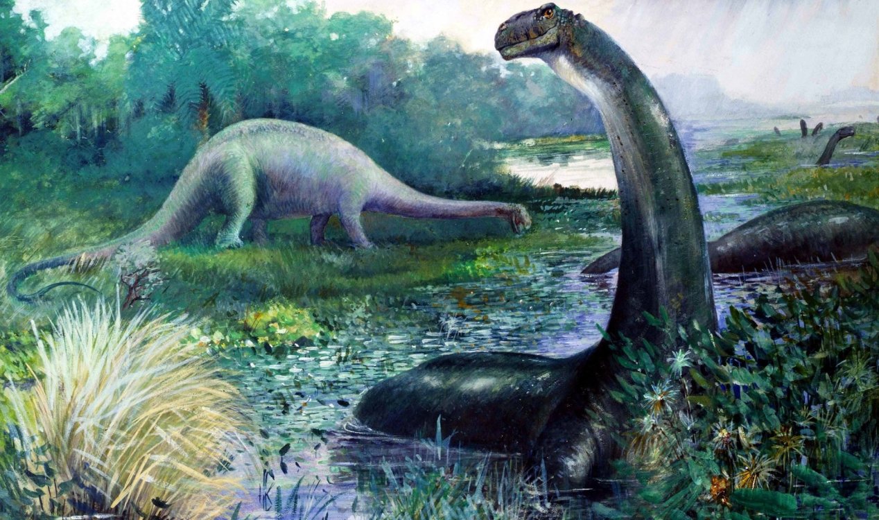 mokele.jpg