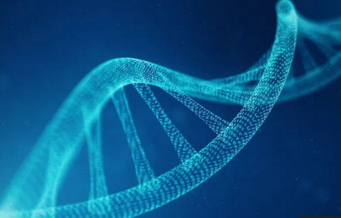 DNA.PNG